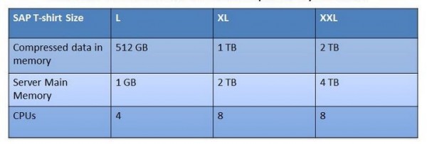 Нетиповая конфигурация под SAP HANA от компании SAP