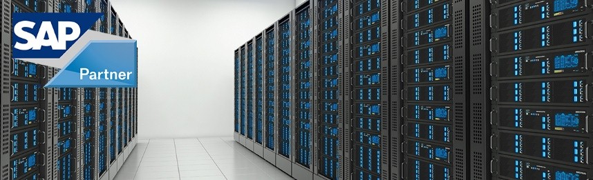 Что подразумевается под услугой SAP Hosting