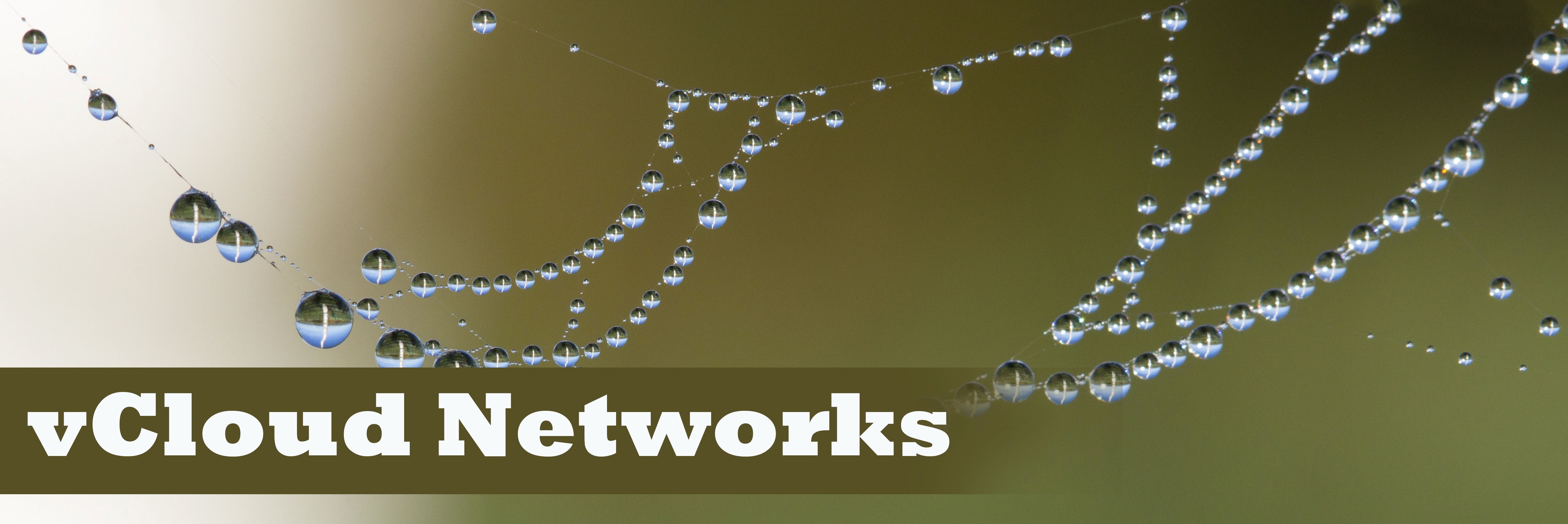 Все, что нужно знать о vCloud Networks: типы сетей в vCloud Director Все, что нужно знать о vCloud Networks: типы сетей в vCloud Director