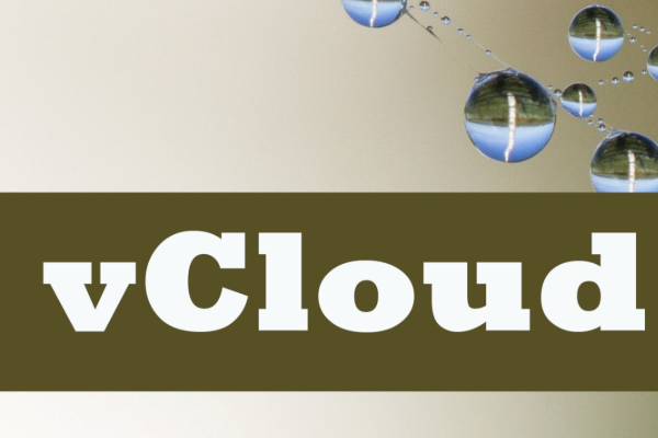 Все, что нужно знать о vCloud Networks: типы сетей в vCloud Director